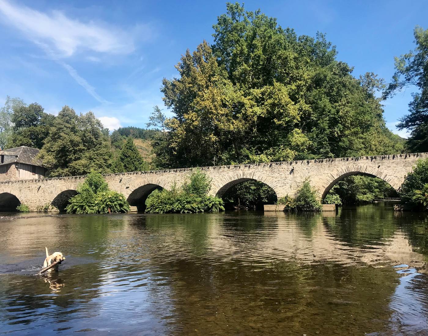 Le Saillant d'Allassac, superbe lieu pour aller pique-niquer, se balader et faire trempette