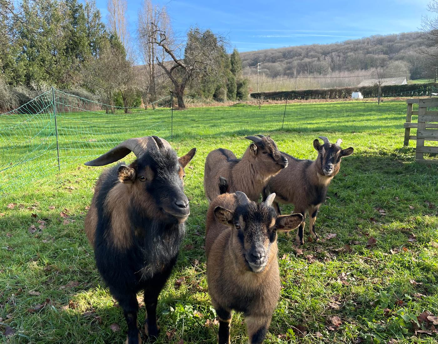 La Famille au complet
