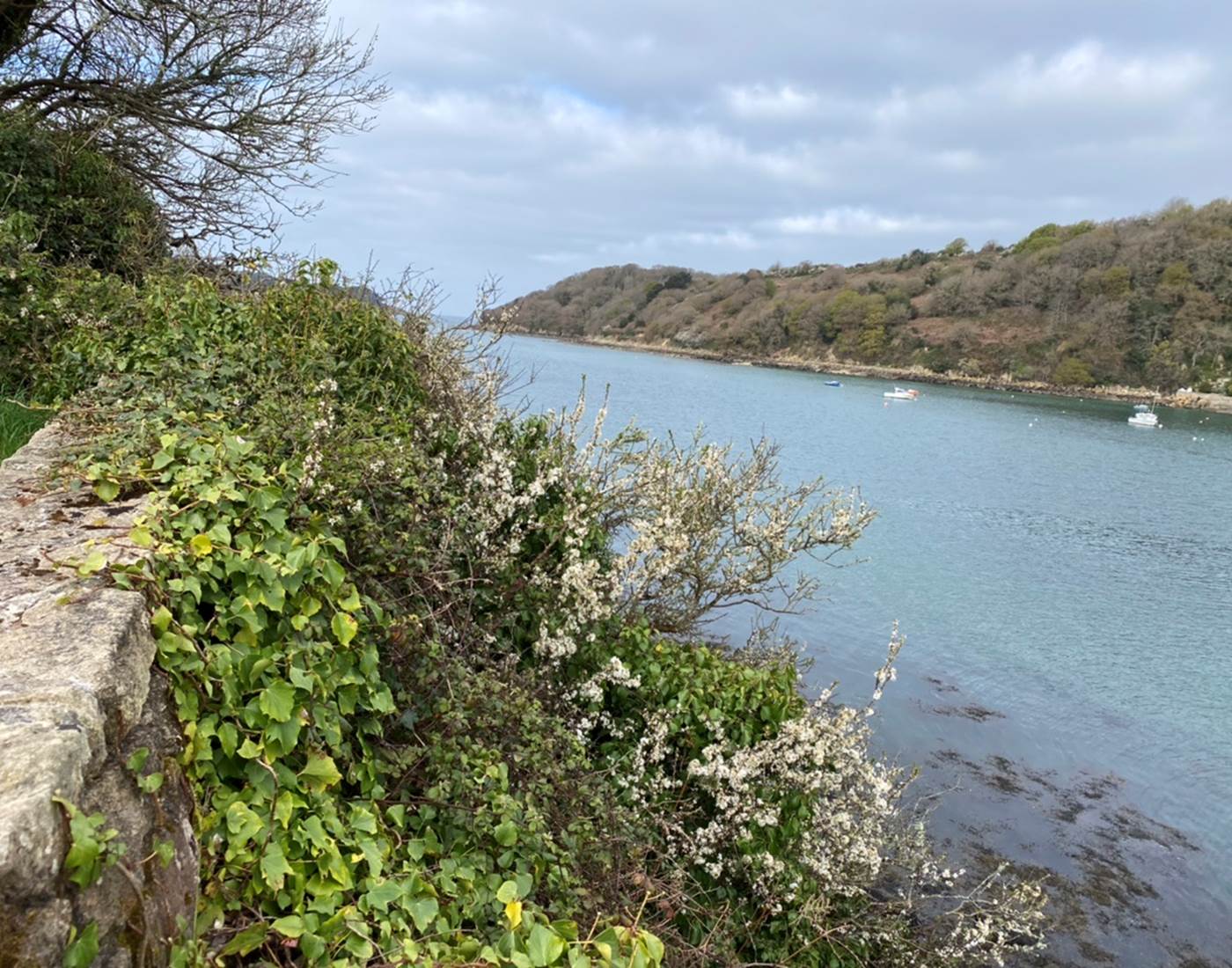 057A1D20-CF3D-4FF2-A05F-5791630986CD