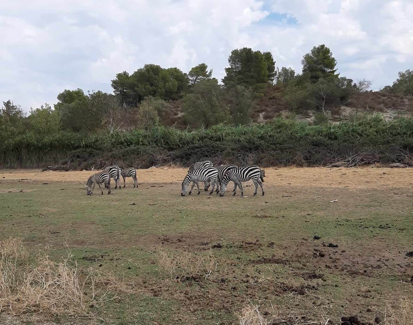 Réserve Africaine de Sigean
