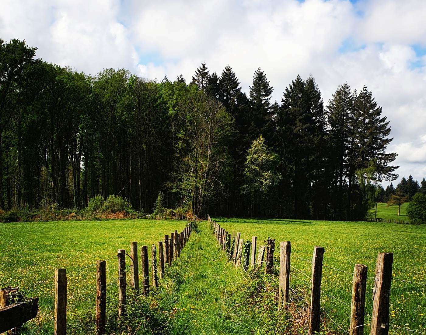 Sentier de randonnée à Pensol