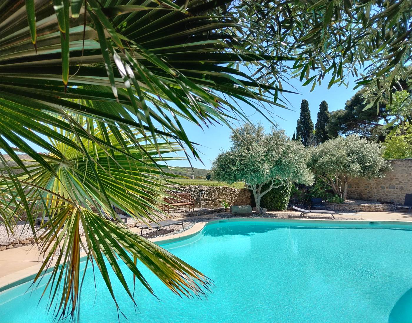 Piscine des propriétaires du Coq du Nord-Mailhac