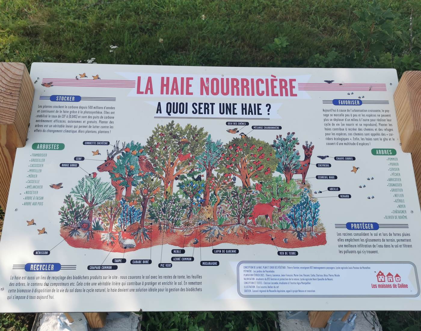 Le jardin-forêt une refuge de biodiversité