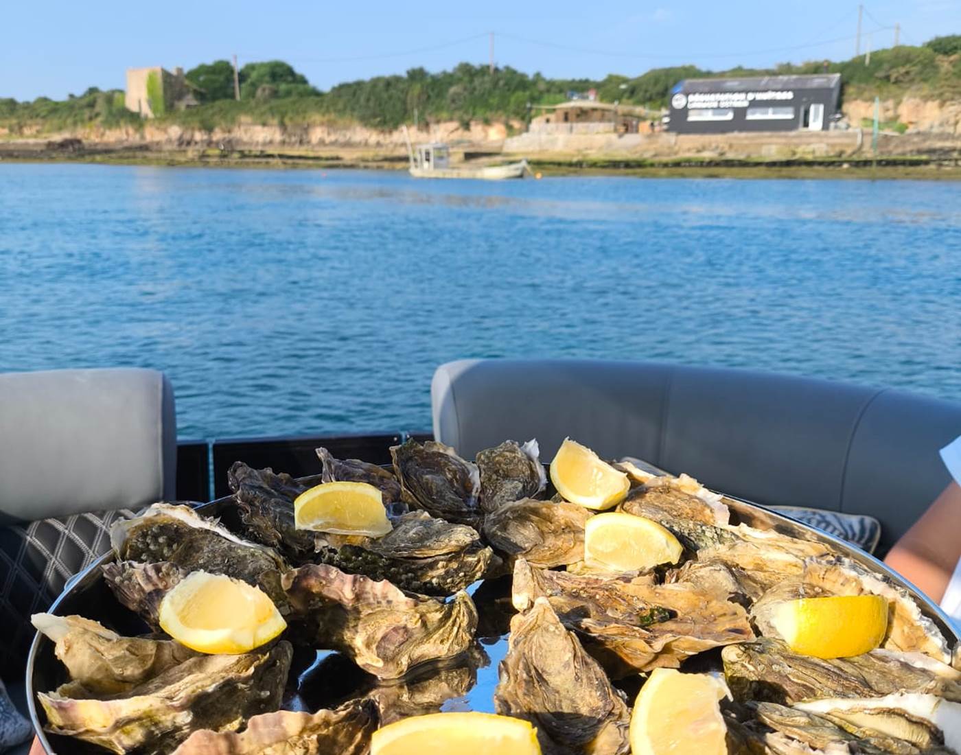 Plateau d'huîtres