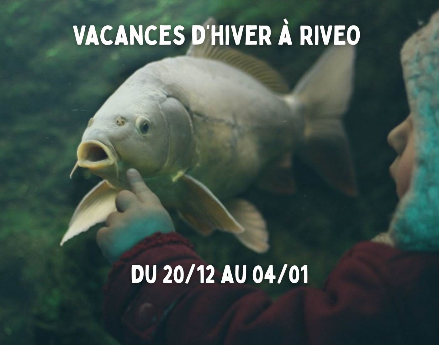 vacances-hiver-activite-famille