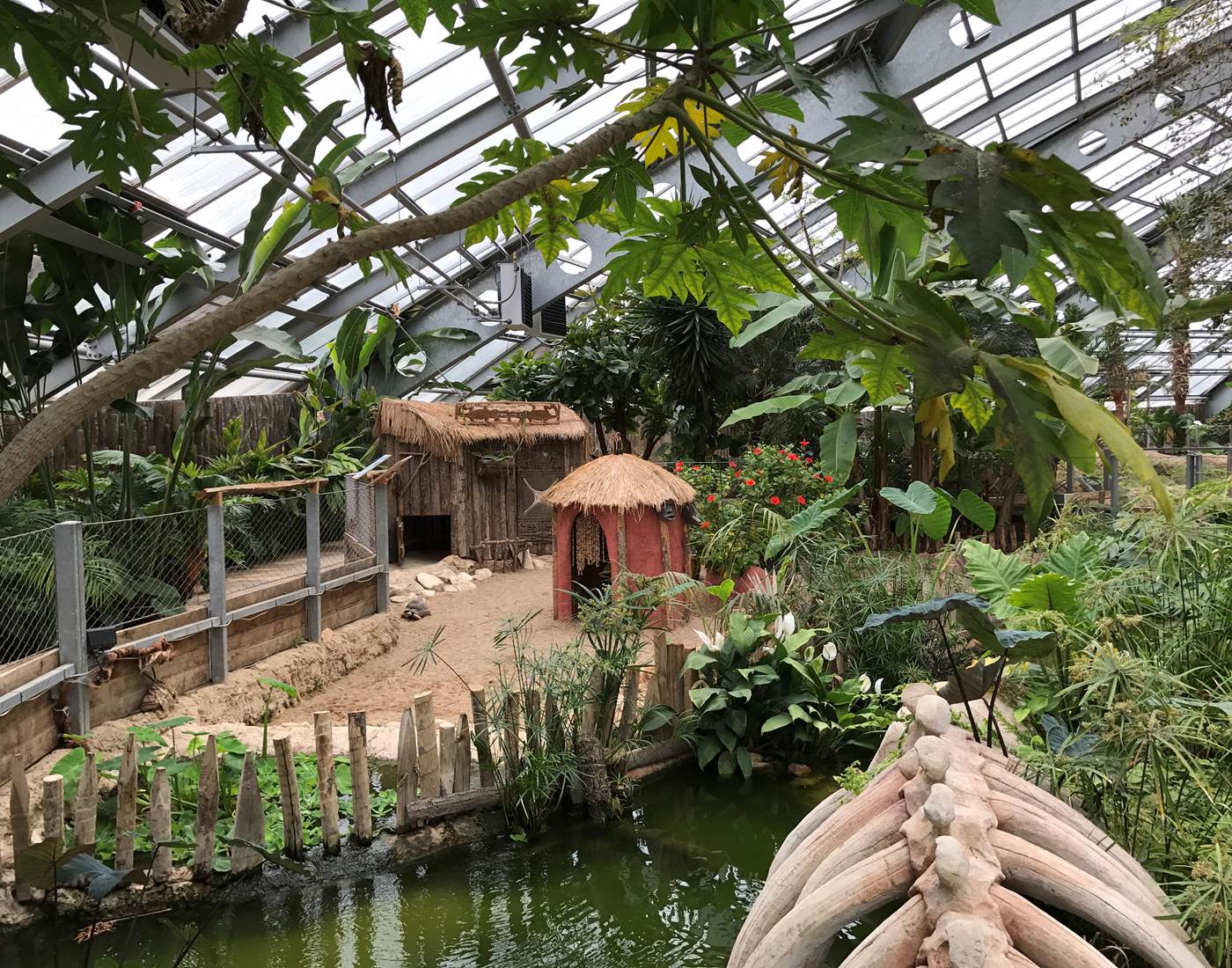 PLANETE CROCODILE CIVAUX 86