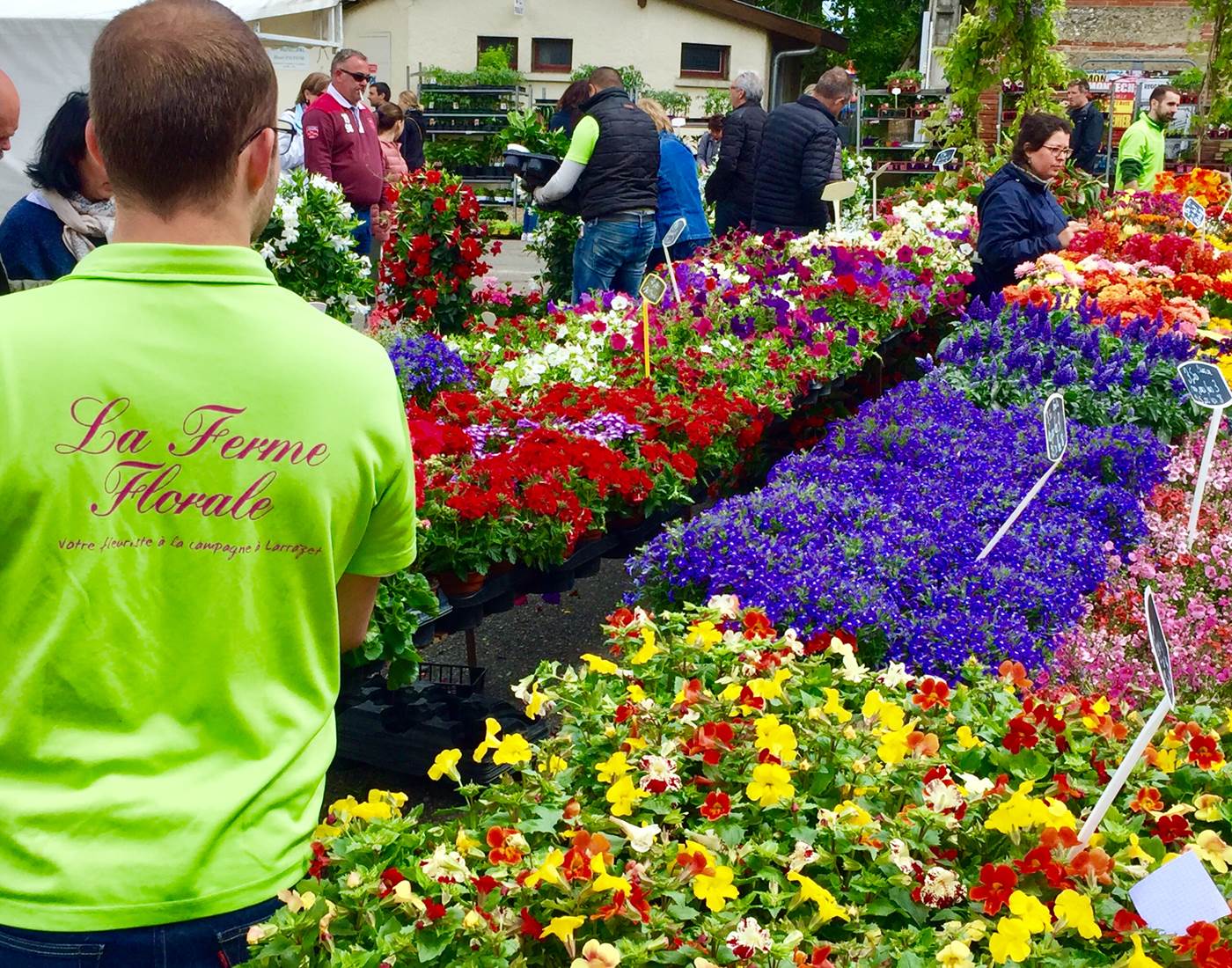 Montech - Les Floralies