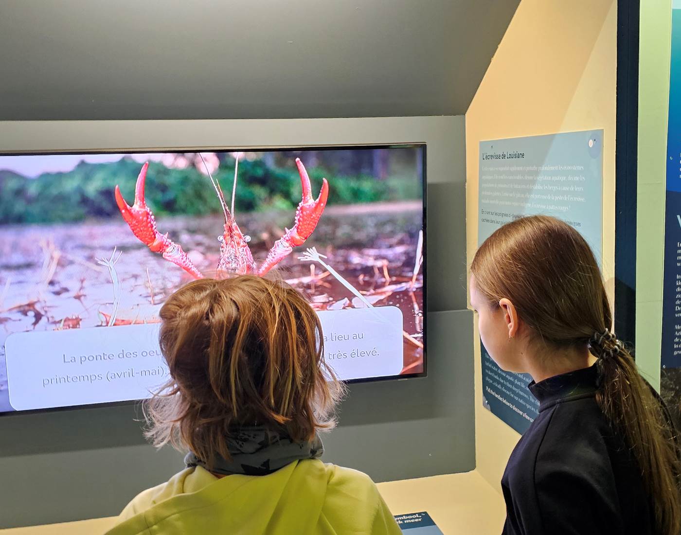 exposition-especes-invasives