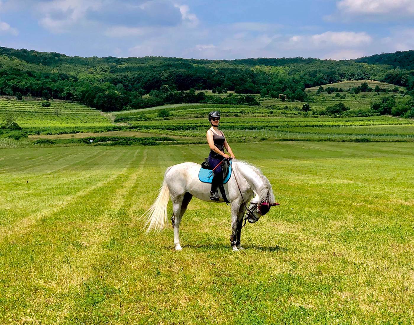 randonnée équestre - balade à cheval