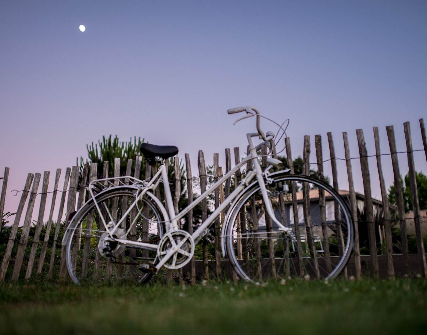 Préservez l'environnement ensemble