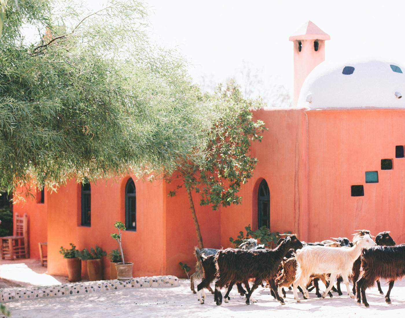 Une expérience... unique !