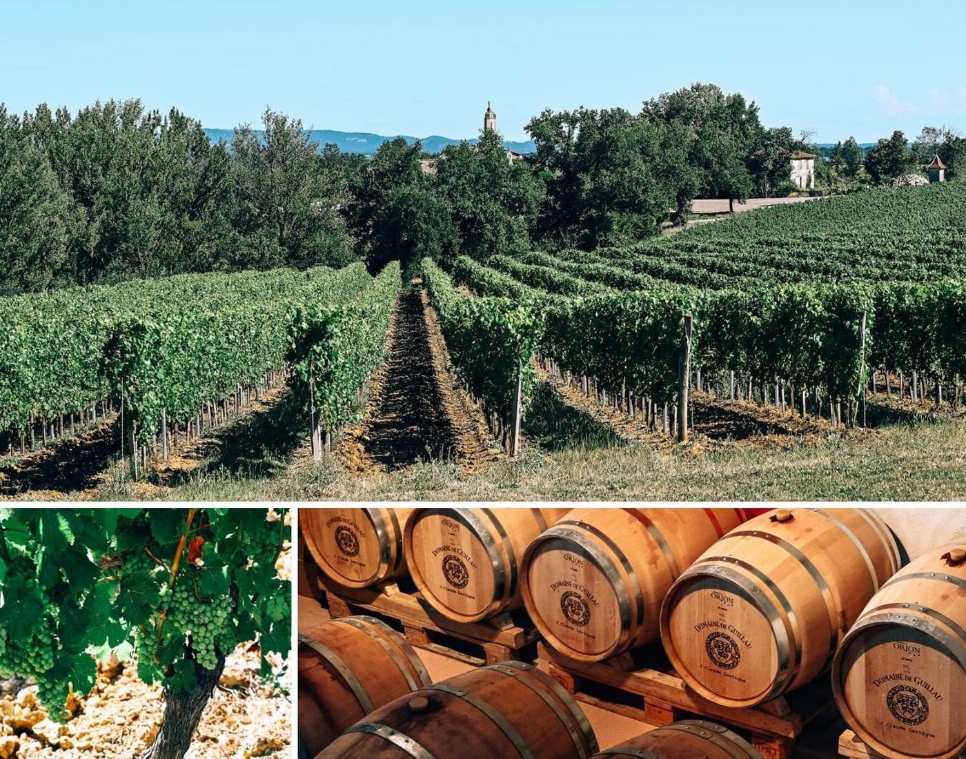 Nuit insolite Tarn et Garonne