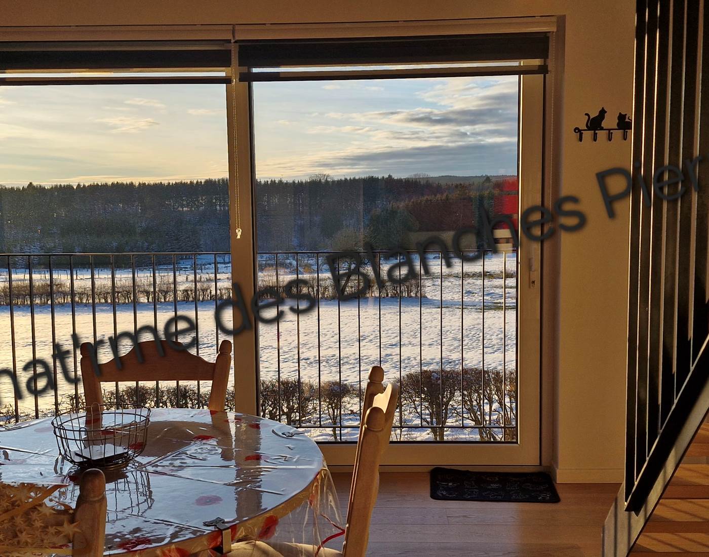 Cuisine studio, vue sur la rue (calme) et la nature