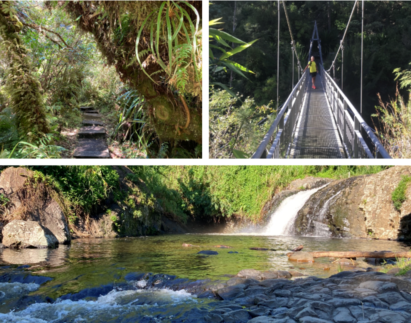 Délices, Belouve et passerelle