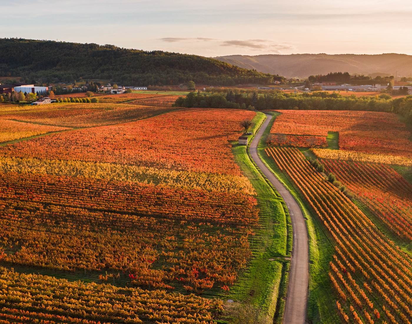 Vignoble de Cahors © C