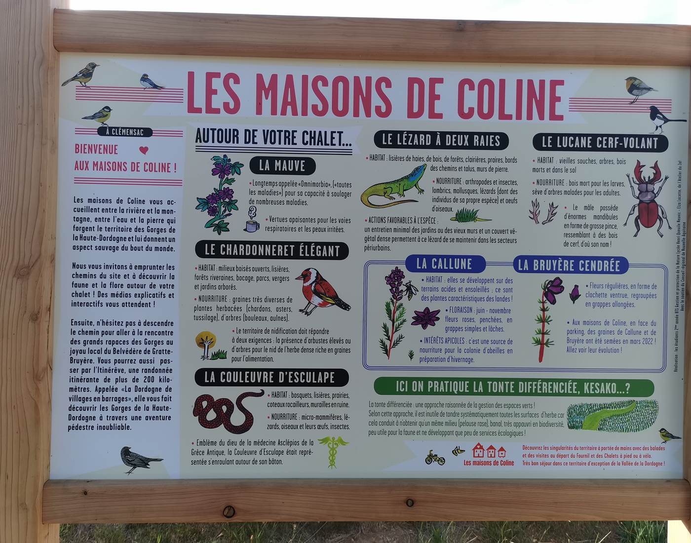 La biodiversité aux maisons de Coline