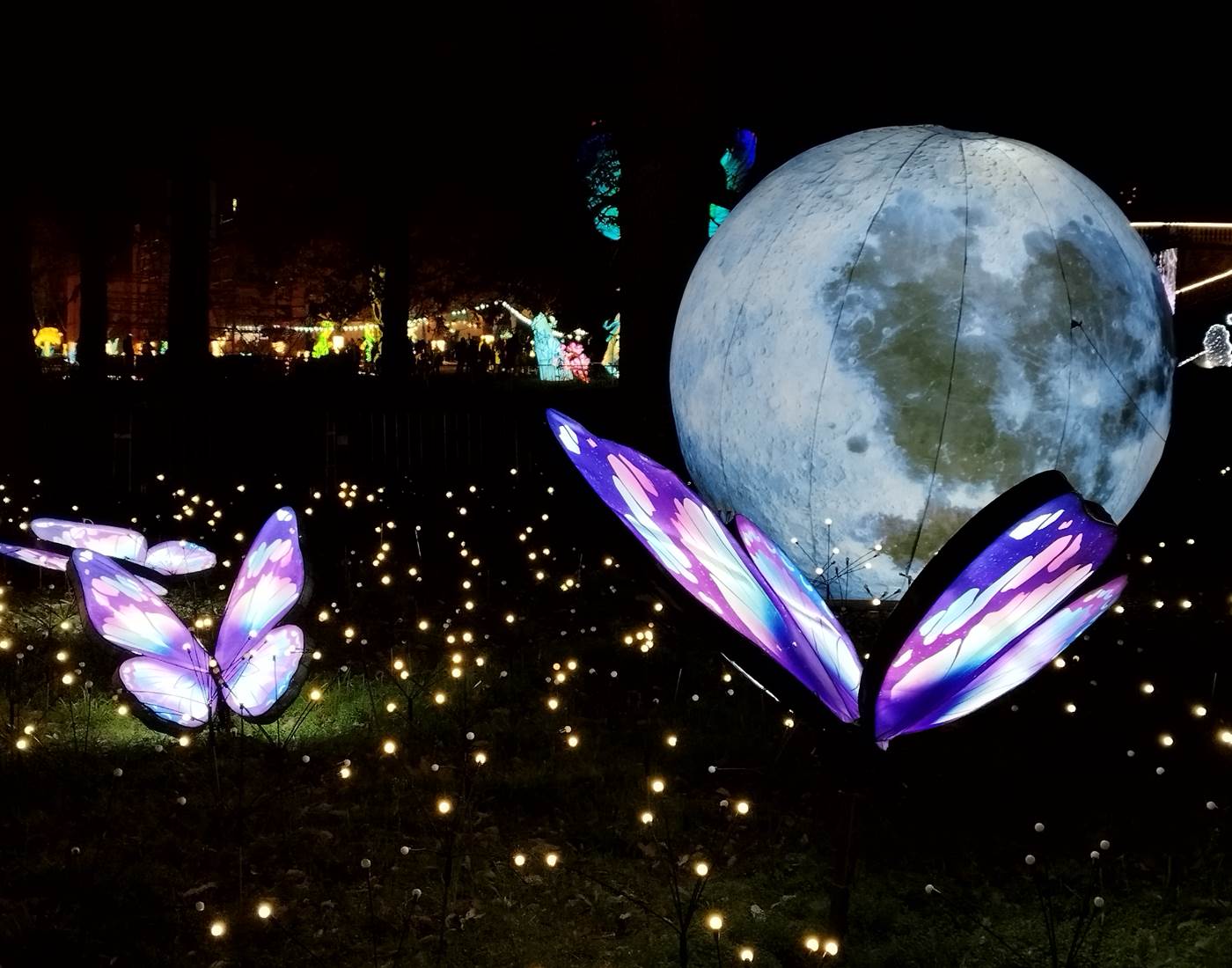 Les Splendeurs de Chine à Céret