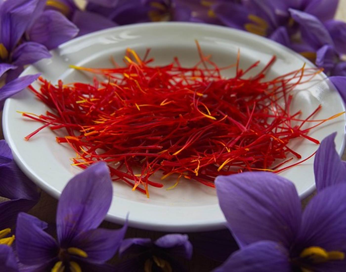 Découvrez Taliouine : Capitale du Safran au Maroc