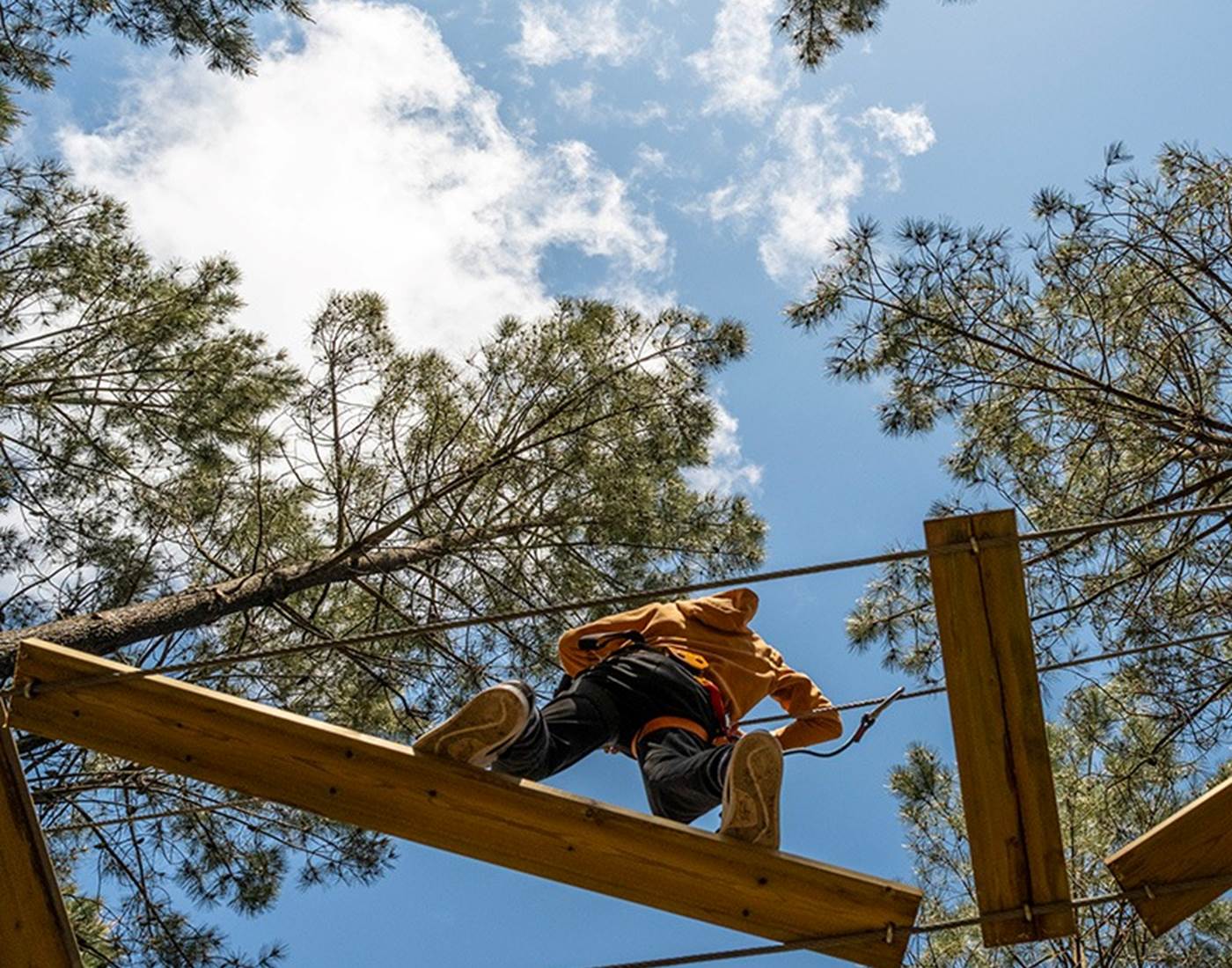 Parcours accrobranche