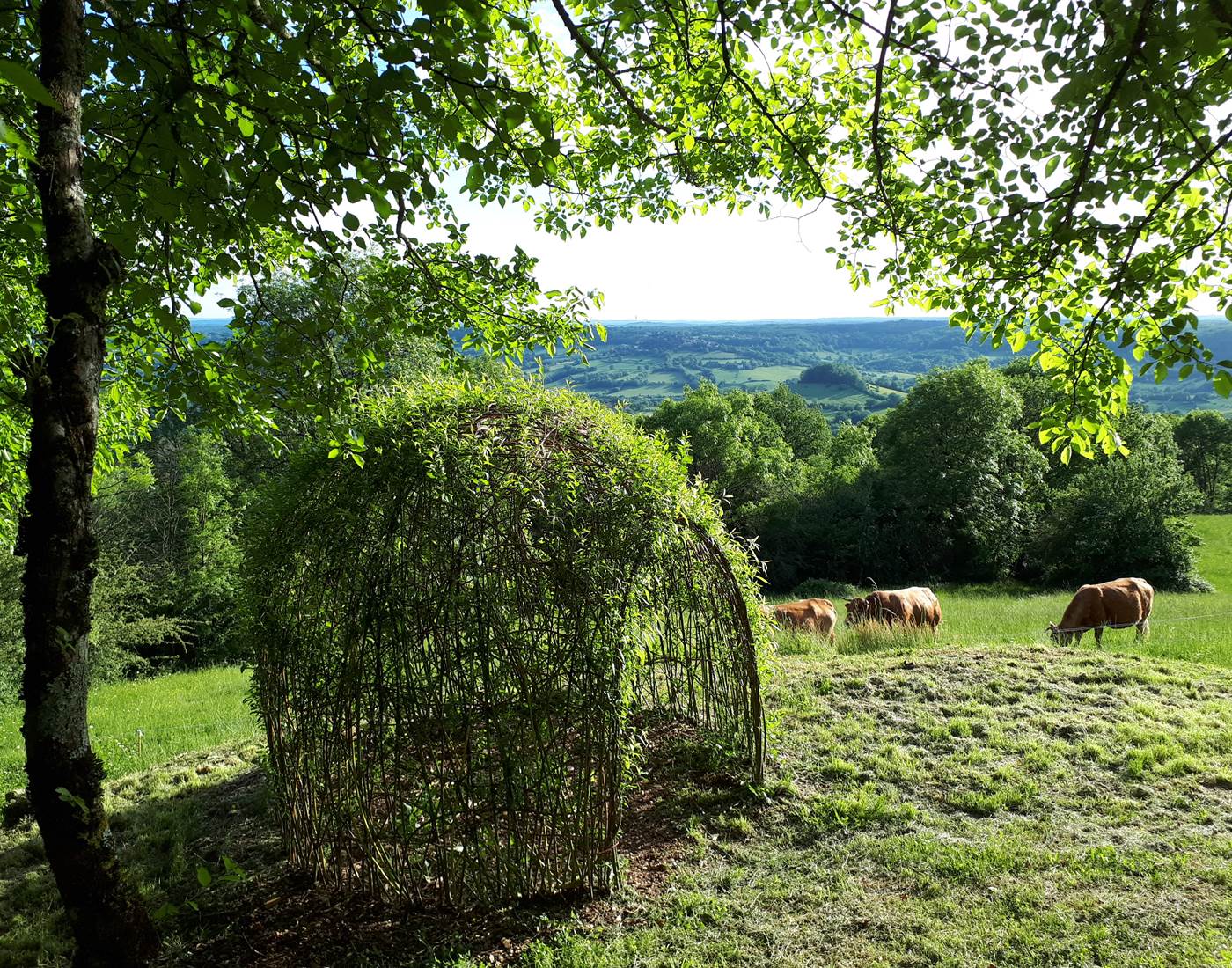 UNE GLORIETTE EN OSIER DANS LE JARDIN DE LA DOMOSTELLA, FACE A TURENNE