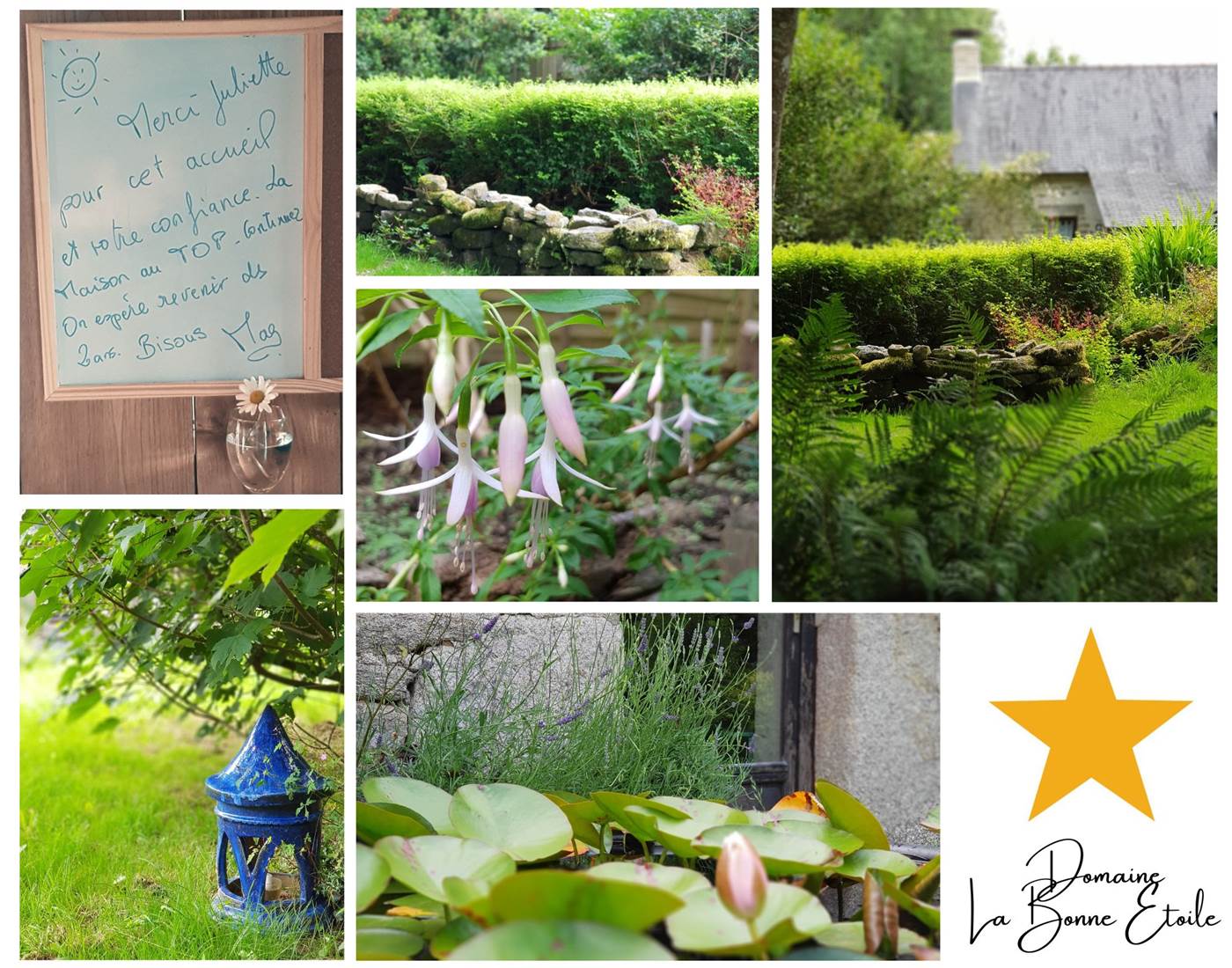 Composition paysagère saison 2024