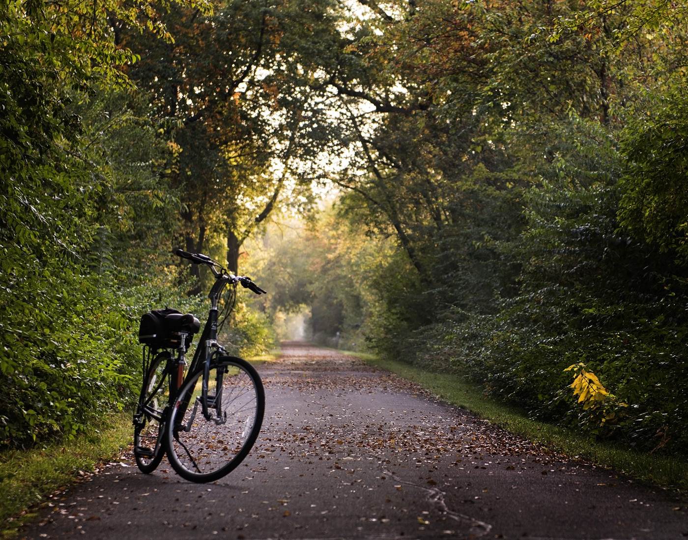 Voie Verte du Canal de la Haute Seine