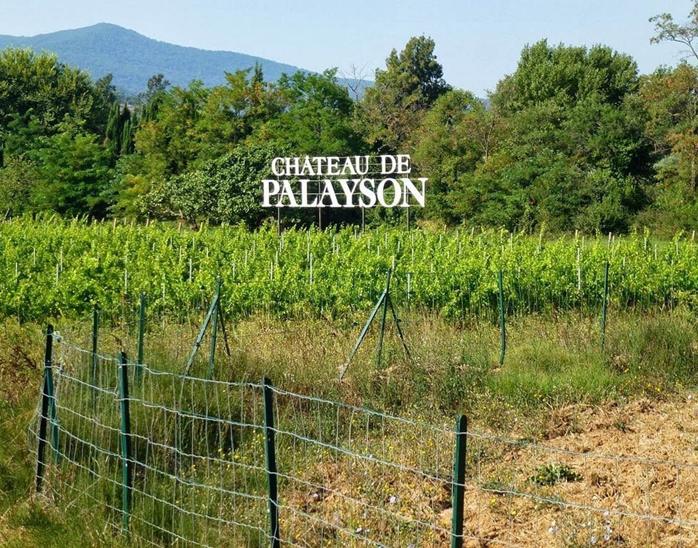 Domaine de Palayson