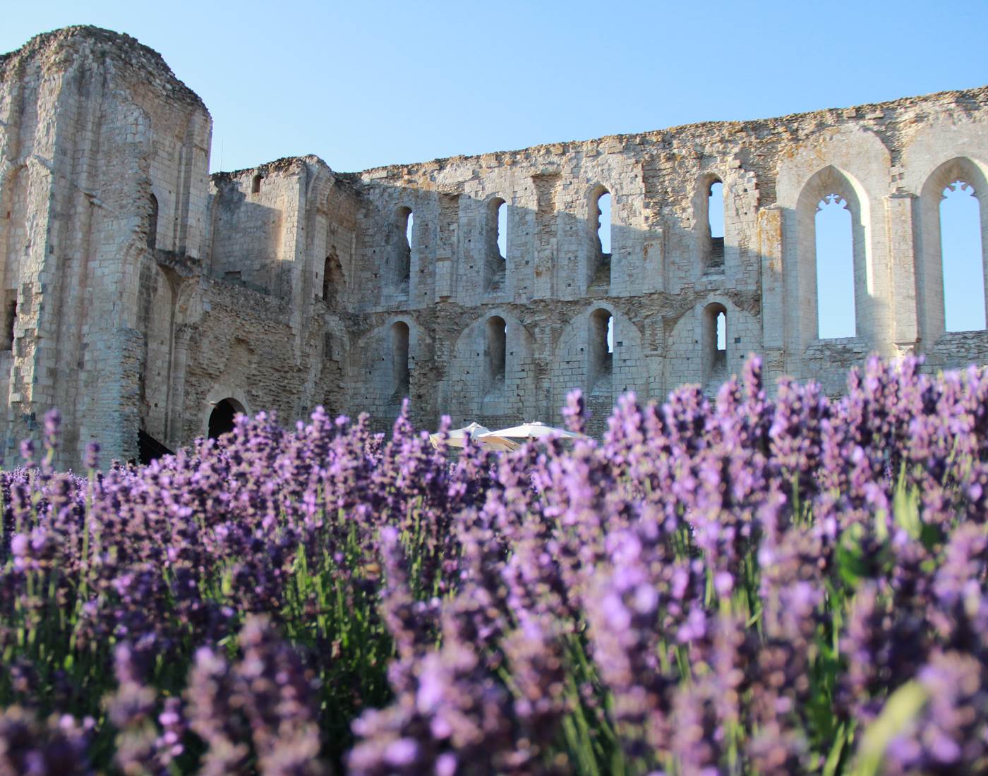Abbaye de Maillezais