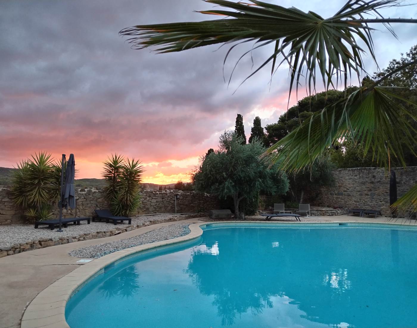 Le cadre du Coq du Nord Mailhac n'est il pas magnifique ?