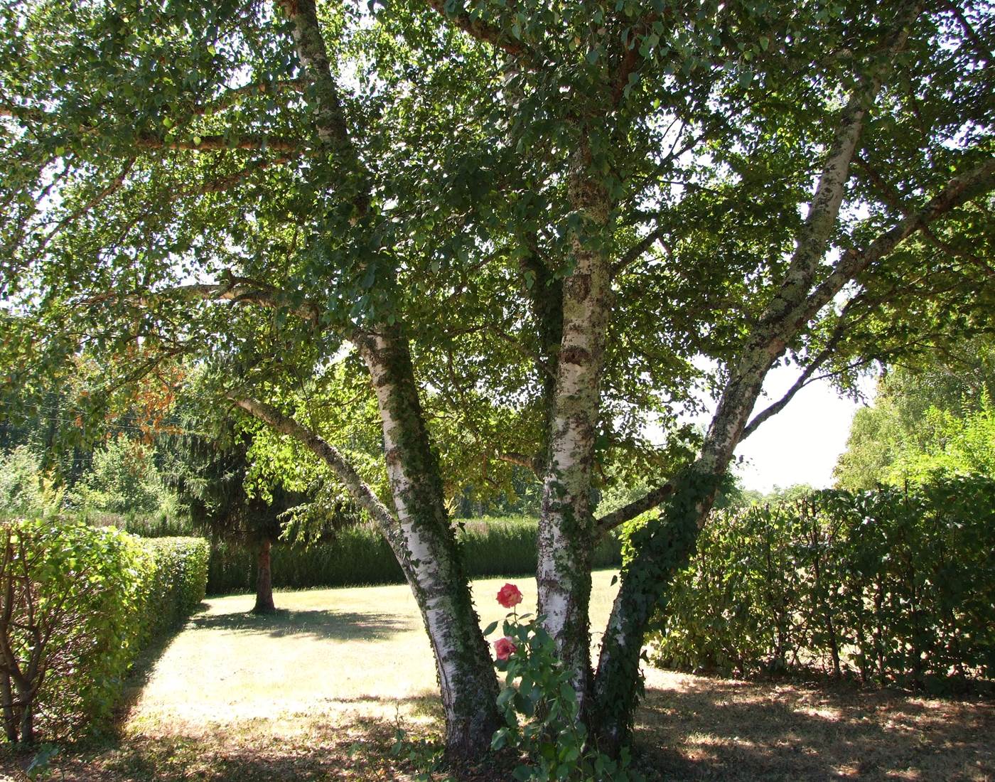 entree-chambres-dhotes-perigord-page