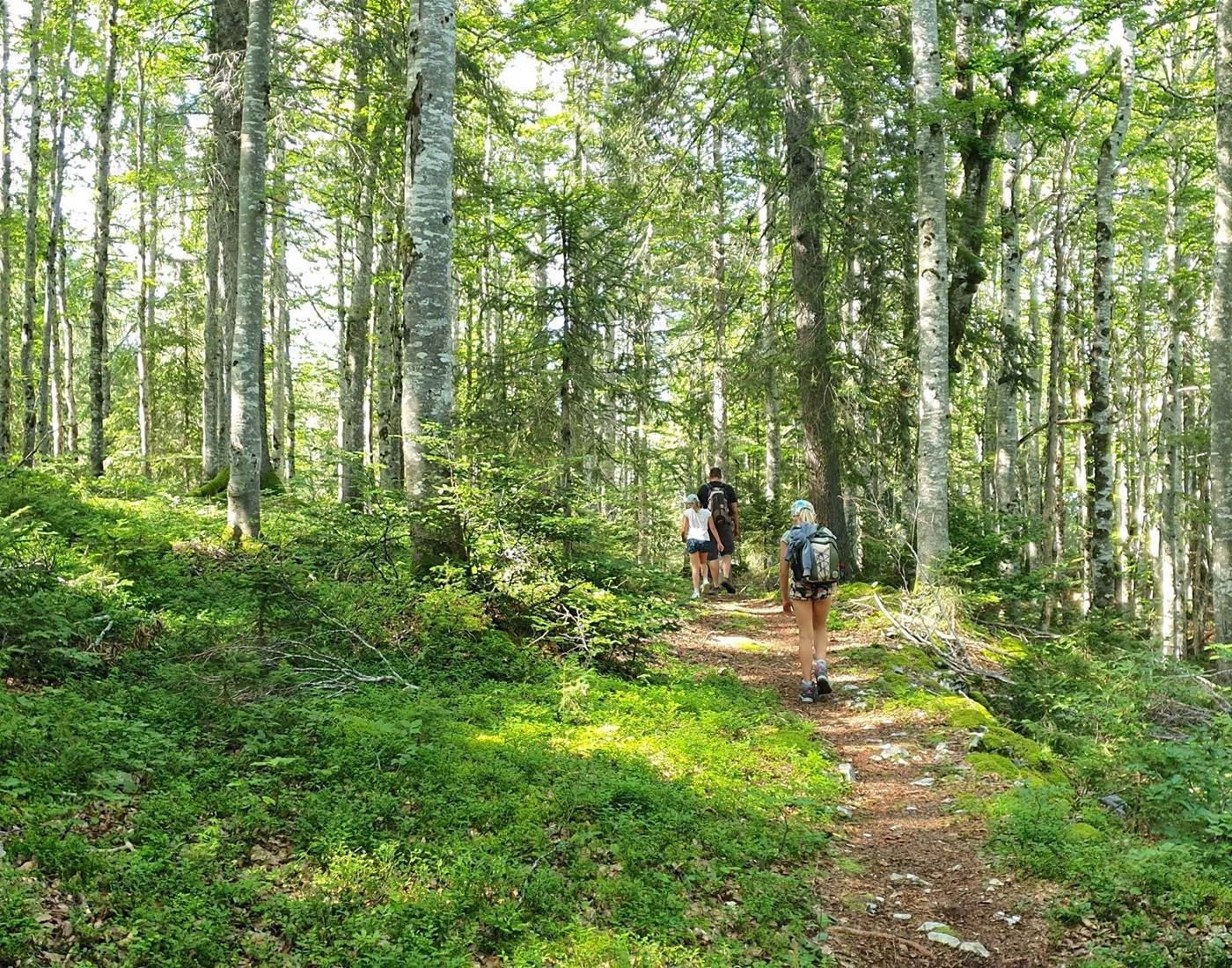 Notre famille en randonnée dans la forêt du Risoux