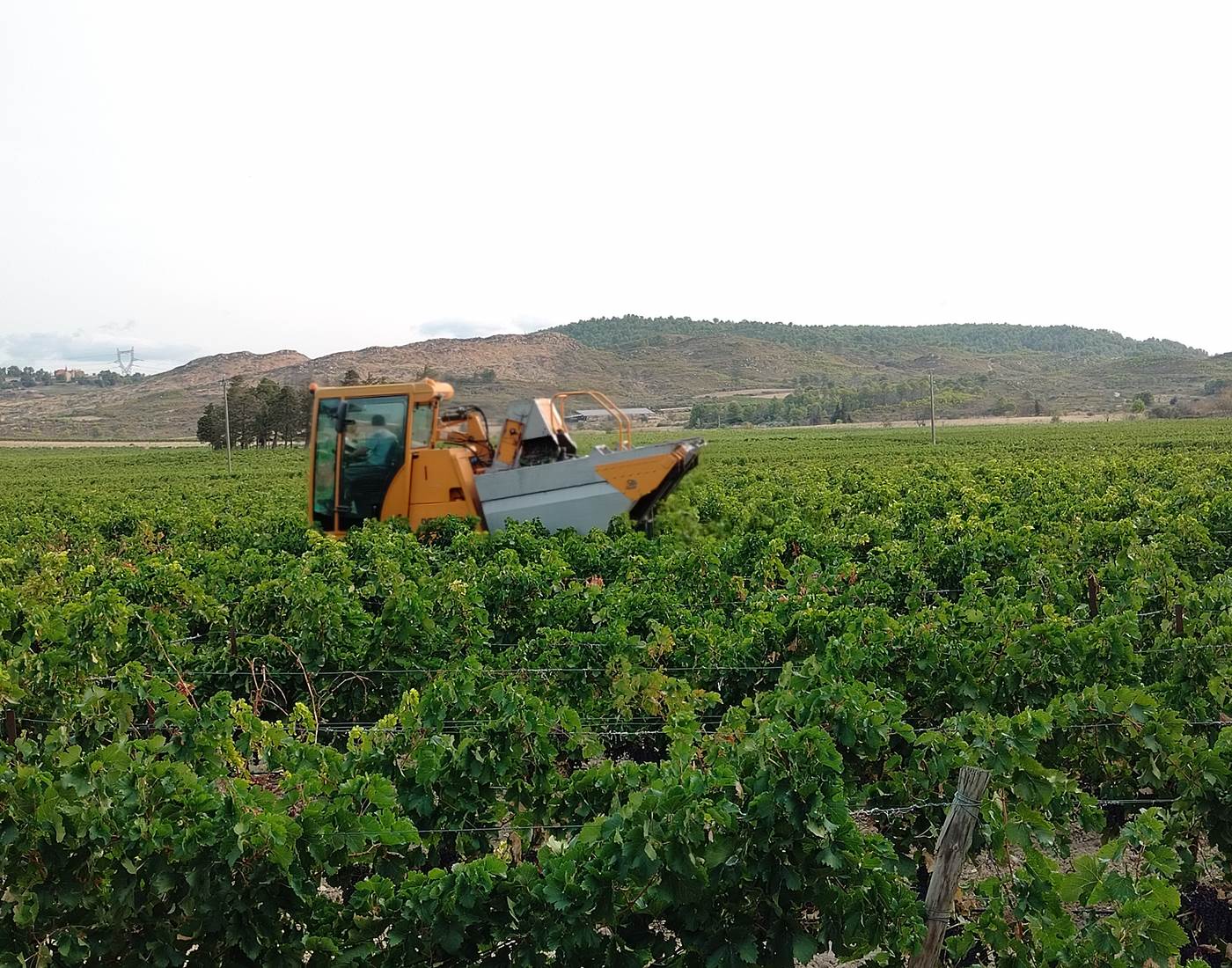 Des séjours à thèmes