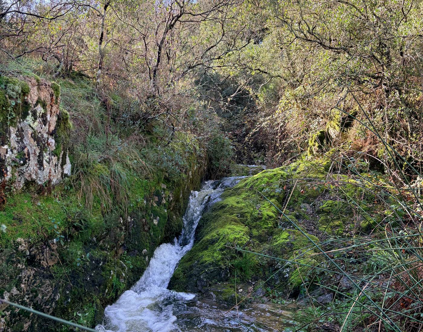 Le torrent caché de Cocody