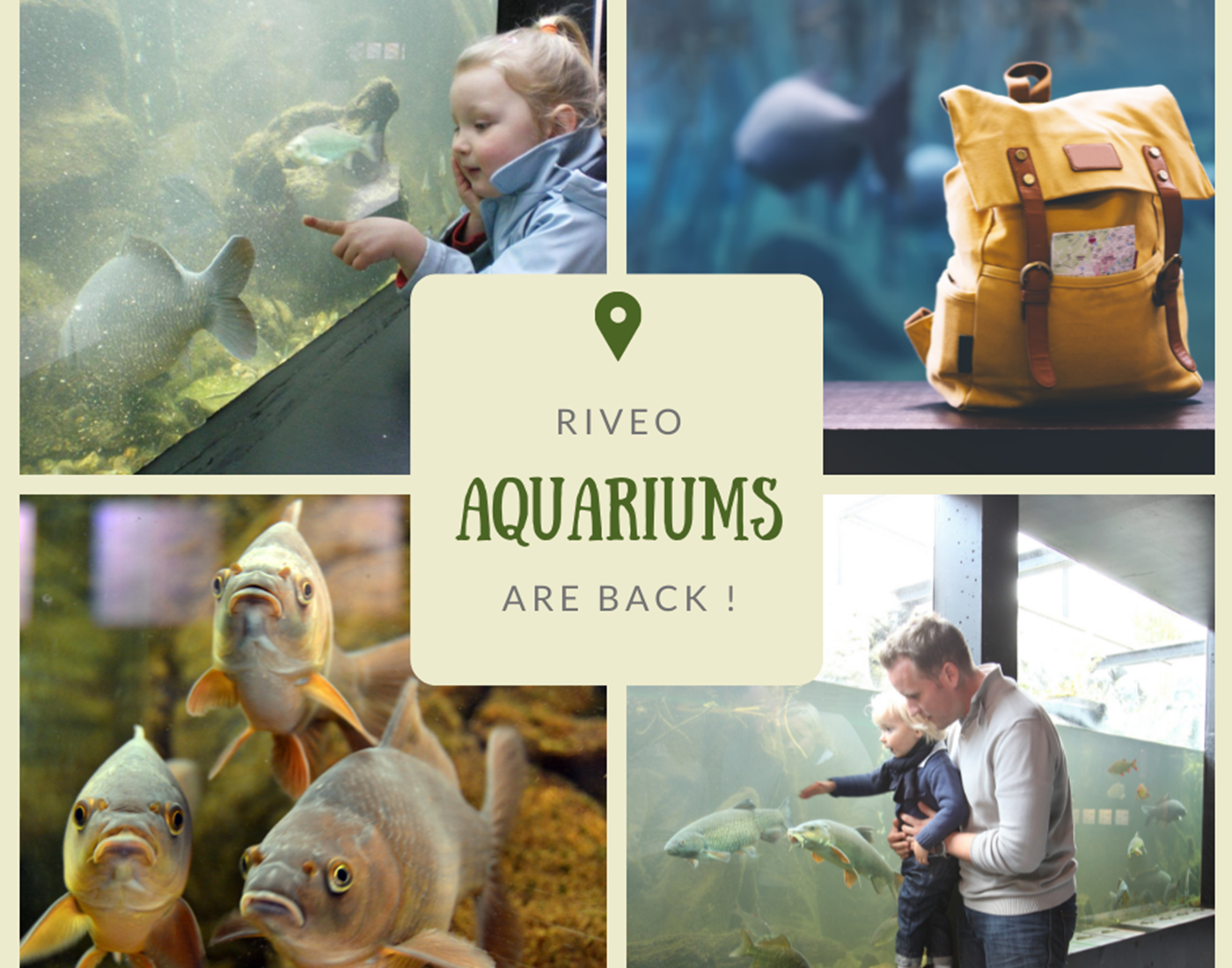 Aquariums RiveO