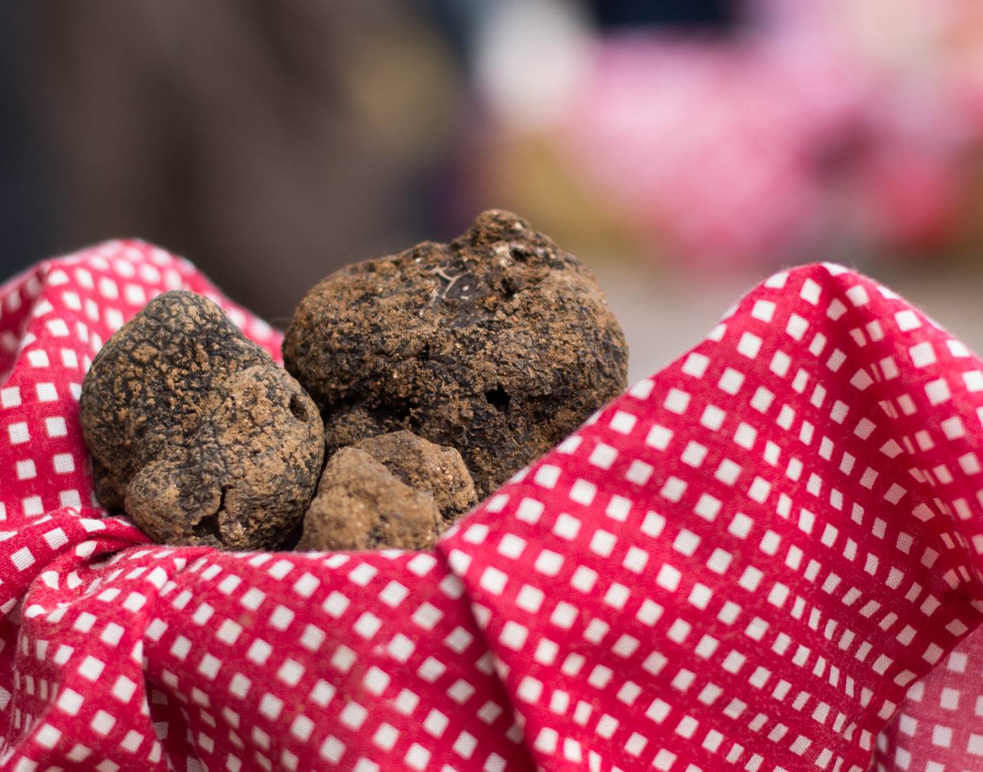 Lot Tourisme -Marché aux truffes de Lalbenque-