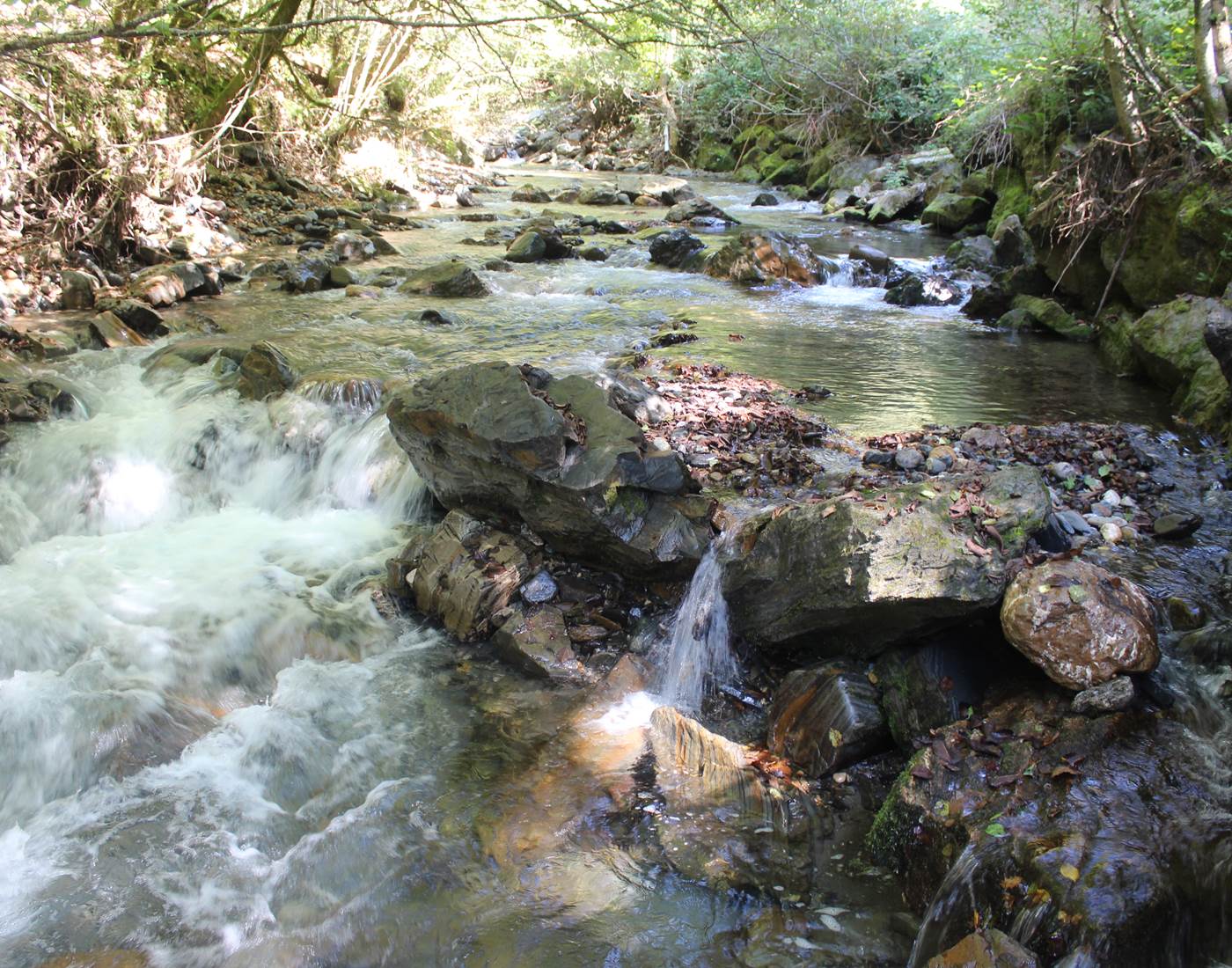 25 gave d'Aspe Vallée D'aspe