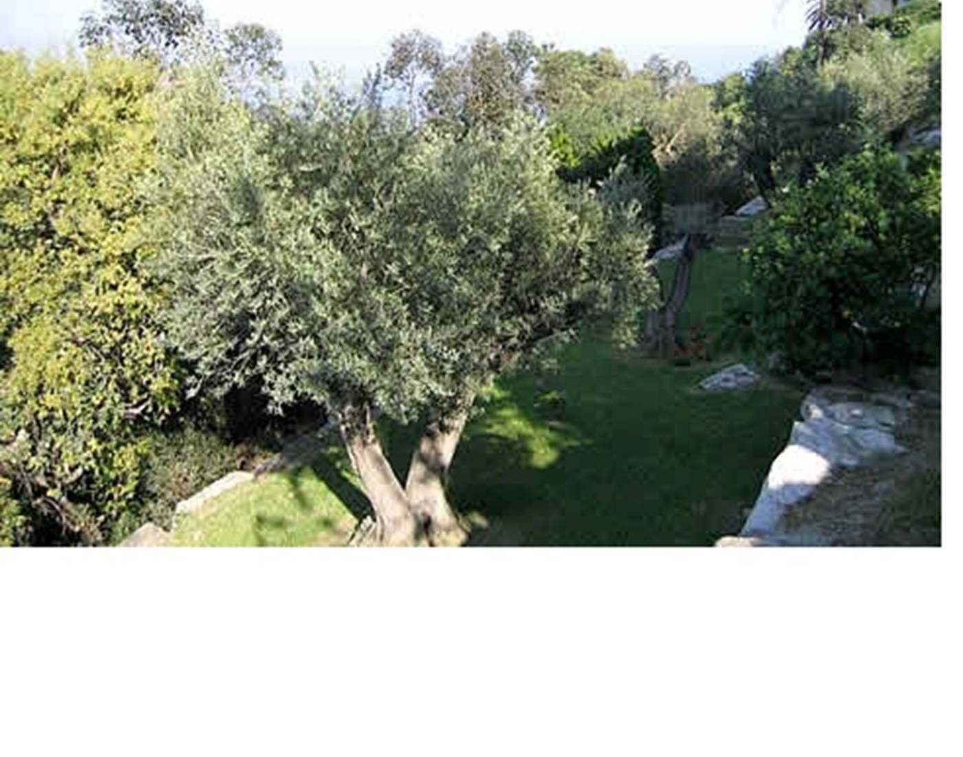 amazing sea vue villa 7 bedrooms 6 bathrooms south france riviera garden