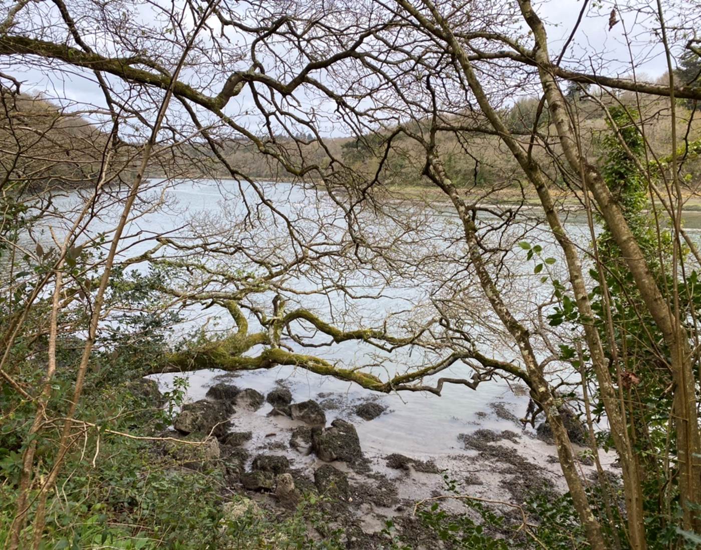 6FBB15AA-9B66-47B6-9B47-D21F7400E557