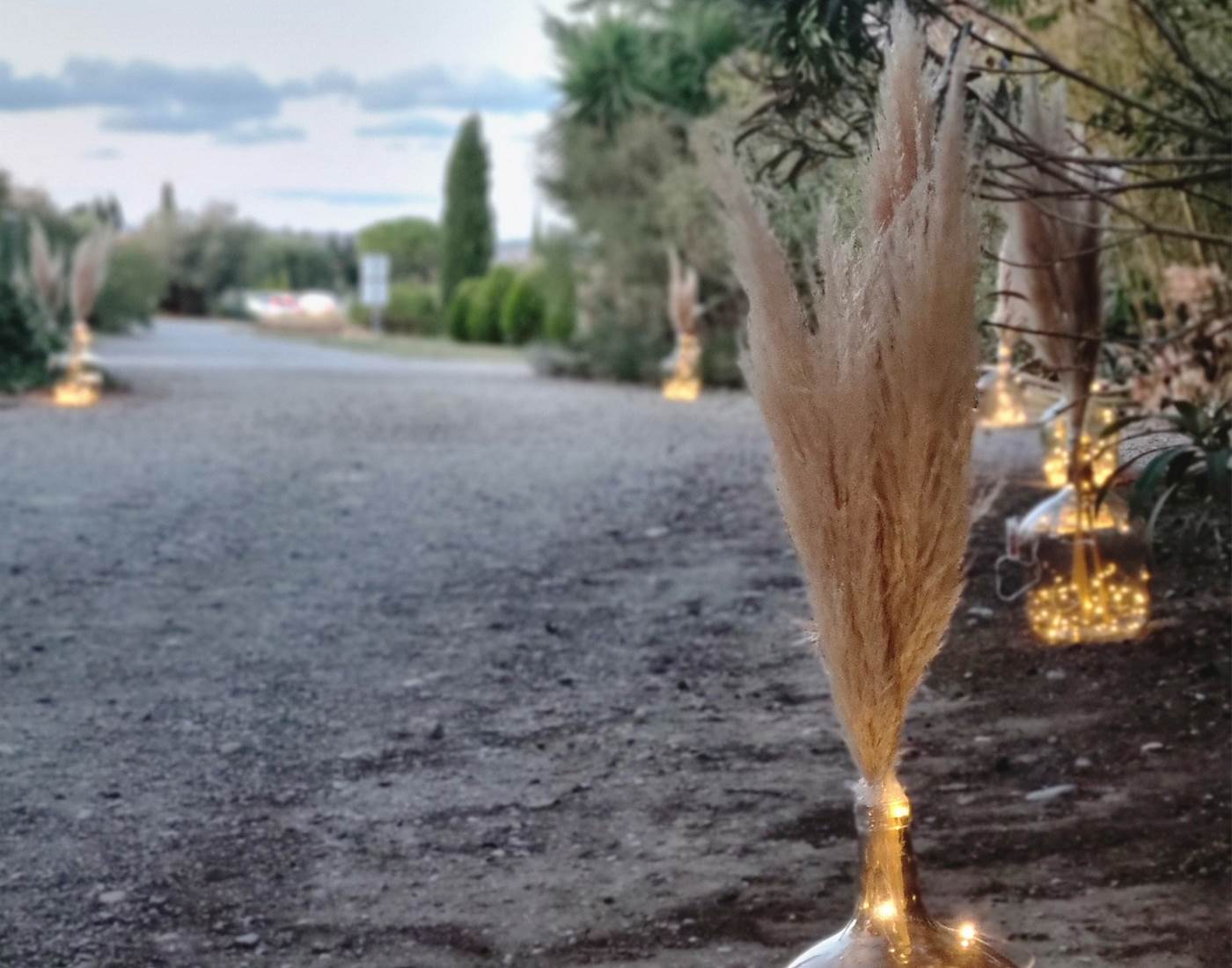 Reception Room in a vineyard