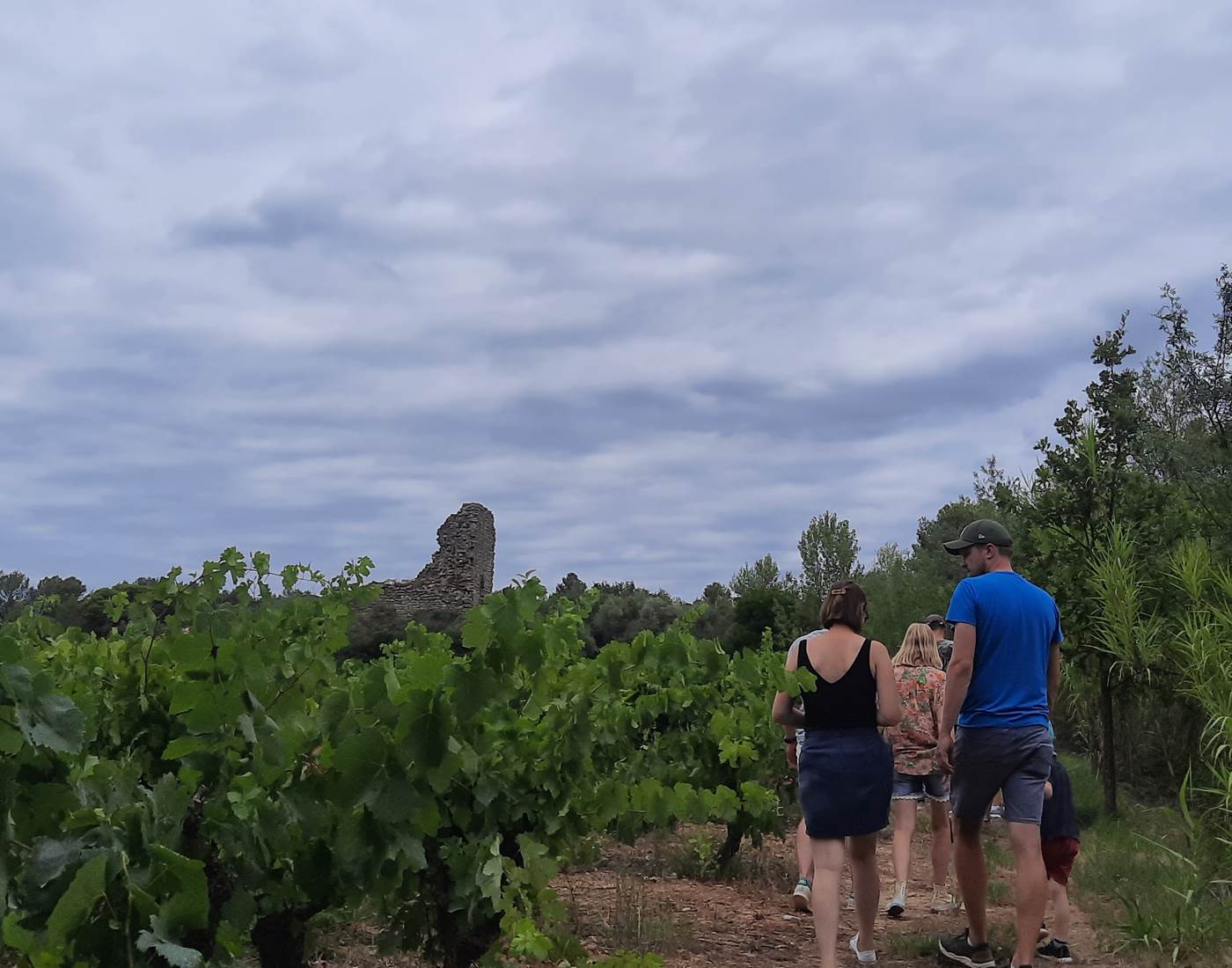 Balade vigneronne Domaine La Tasque