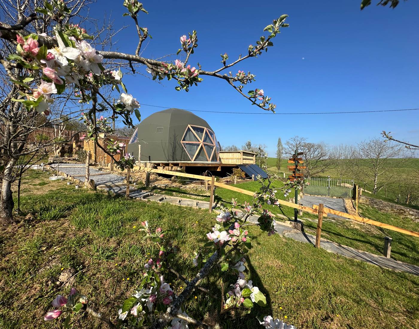 Les fruitiers de notre grand-père fleurissent