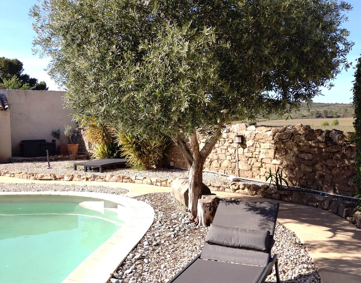 Un peu de détente au bord de la piscine