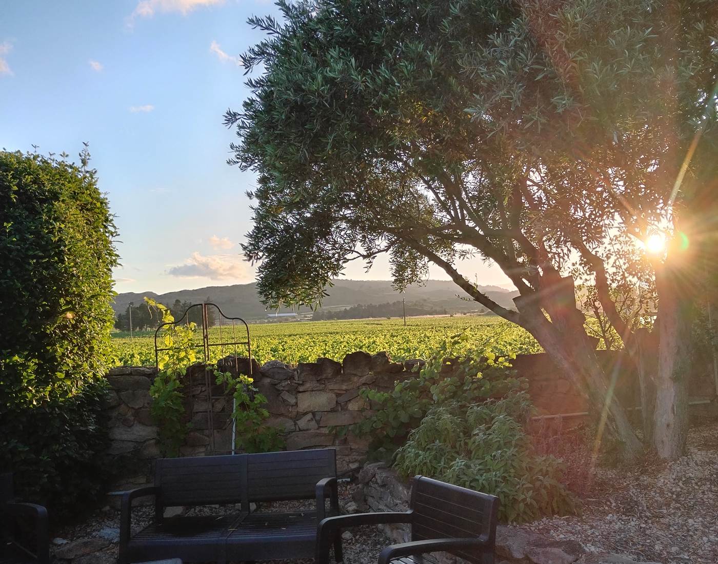 Lever de soleil à Le Coq du Nord-Mailhac