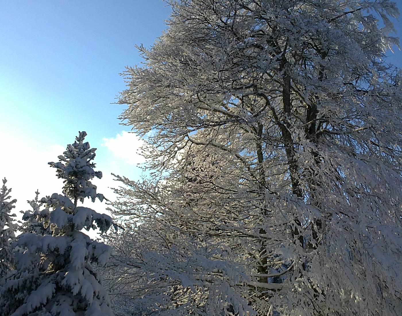 Soleil d'hiver dans le Monts de la Madeleine
