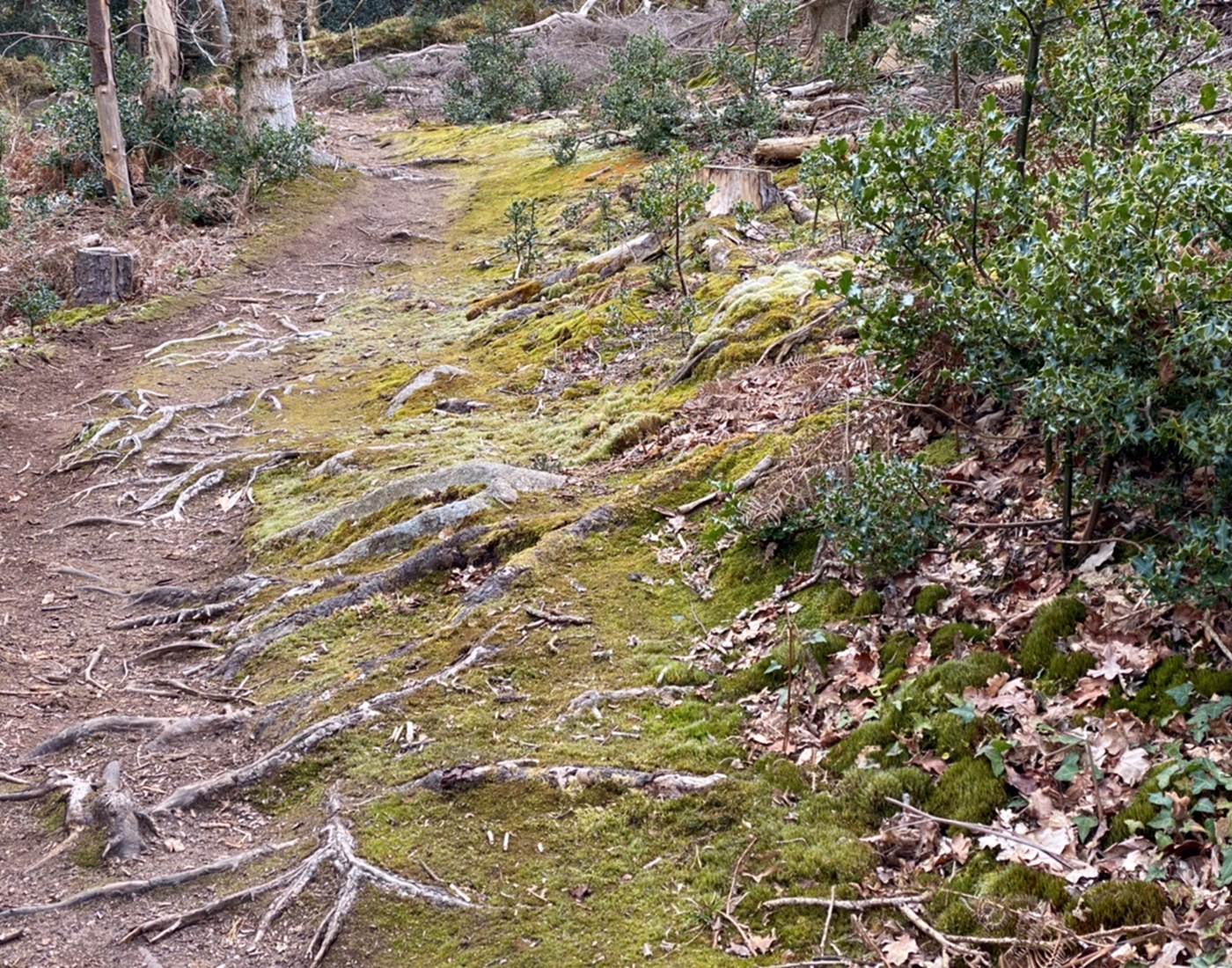 801BB6D9-7323-4C09-8D01-12D75257419E