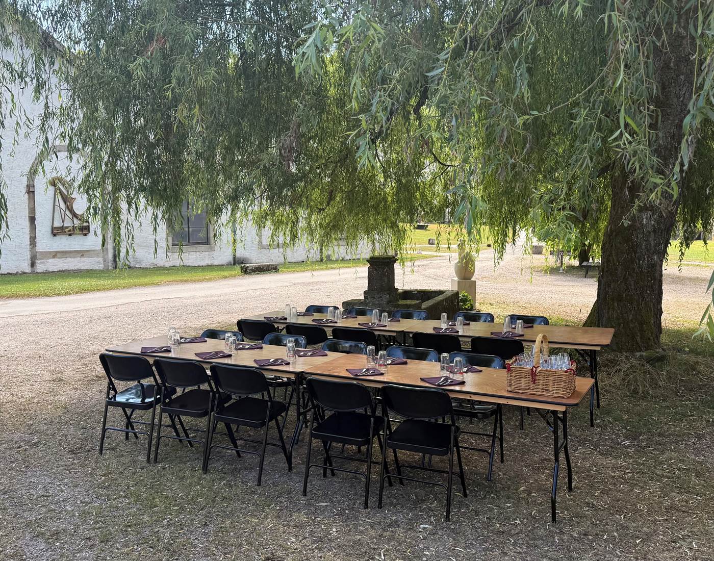 Accueil de groupe, sous le saule pleureur