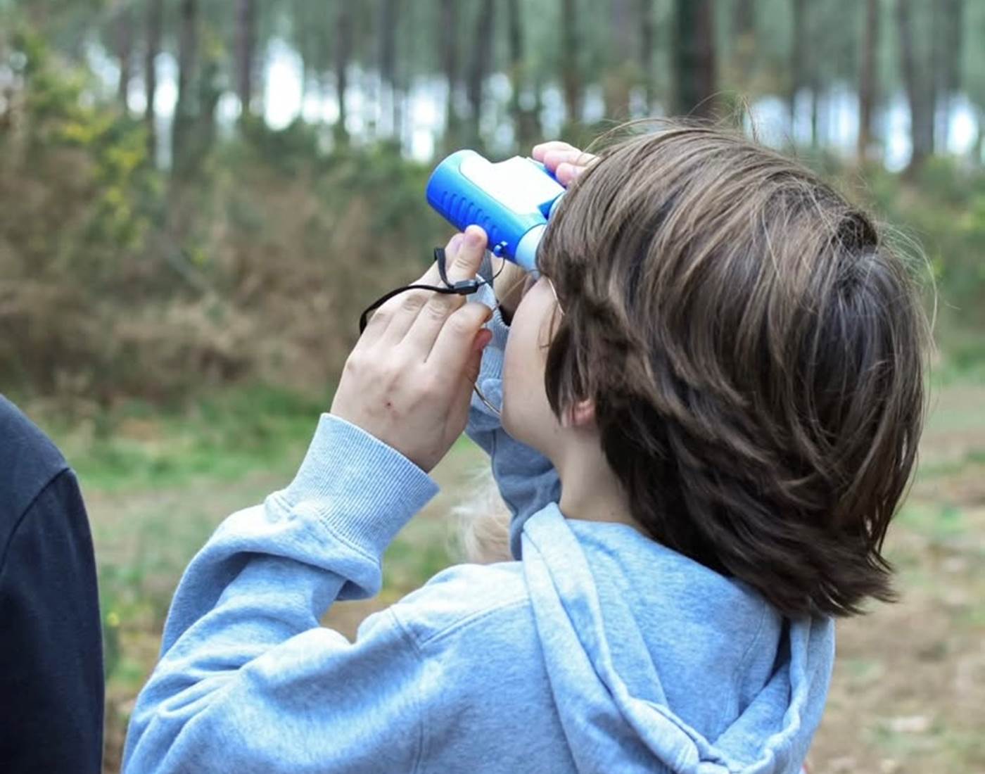 Exploration inspirée d'une légende landaise