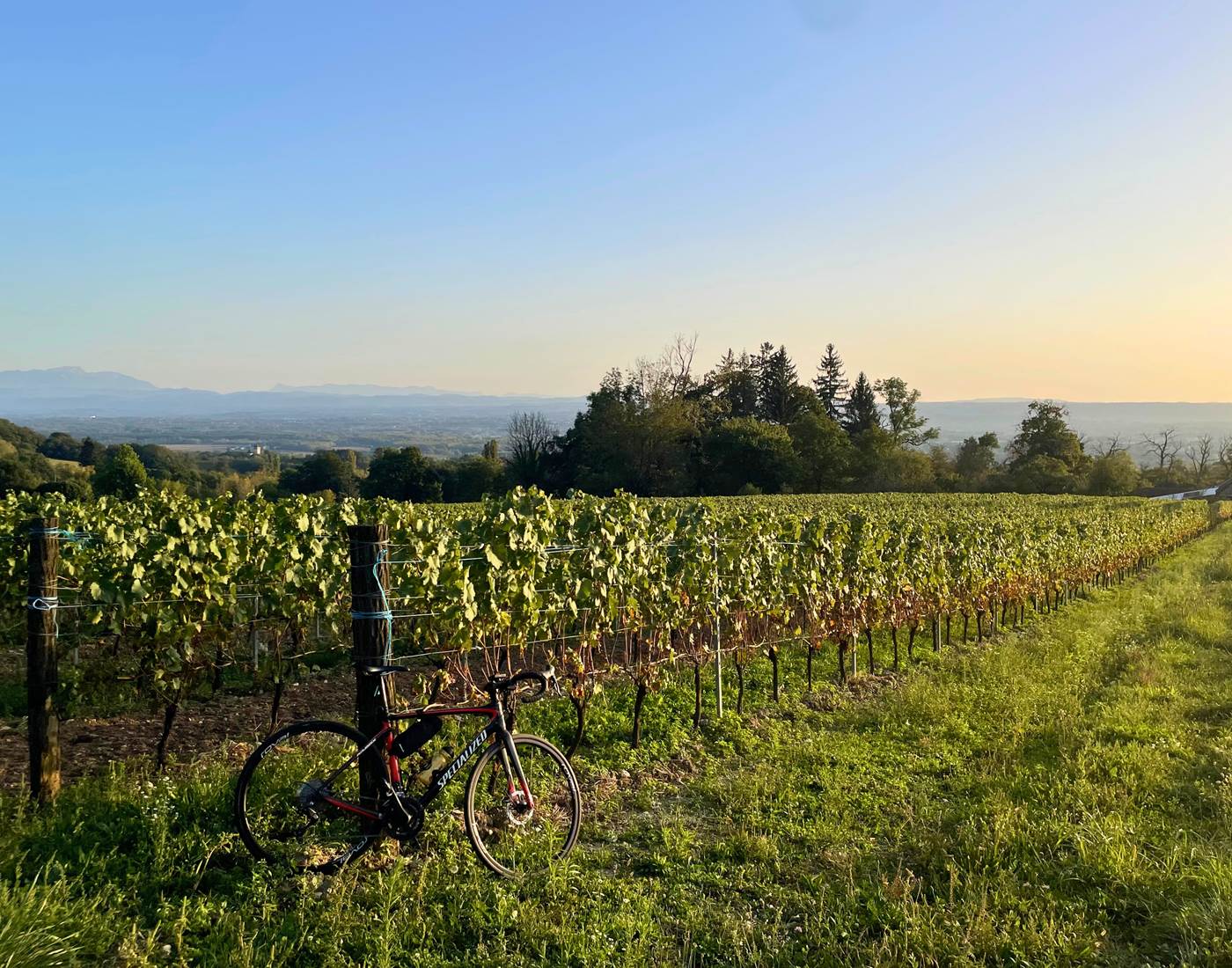 Balade en vélo dans les vignes-page
