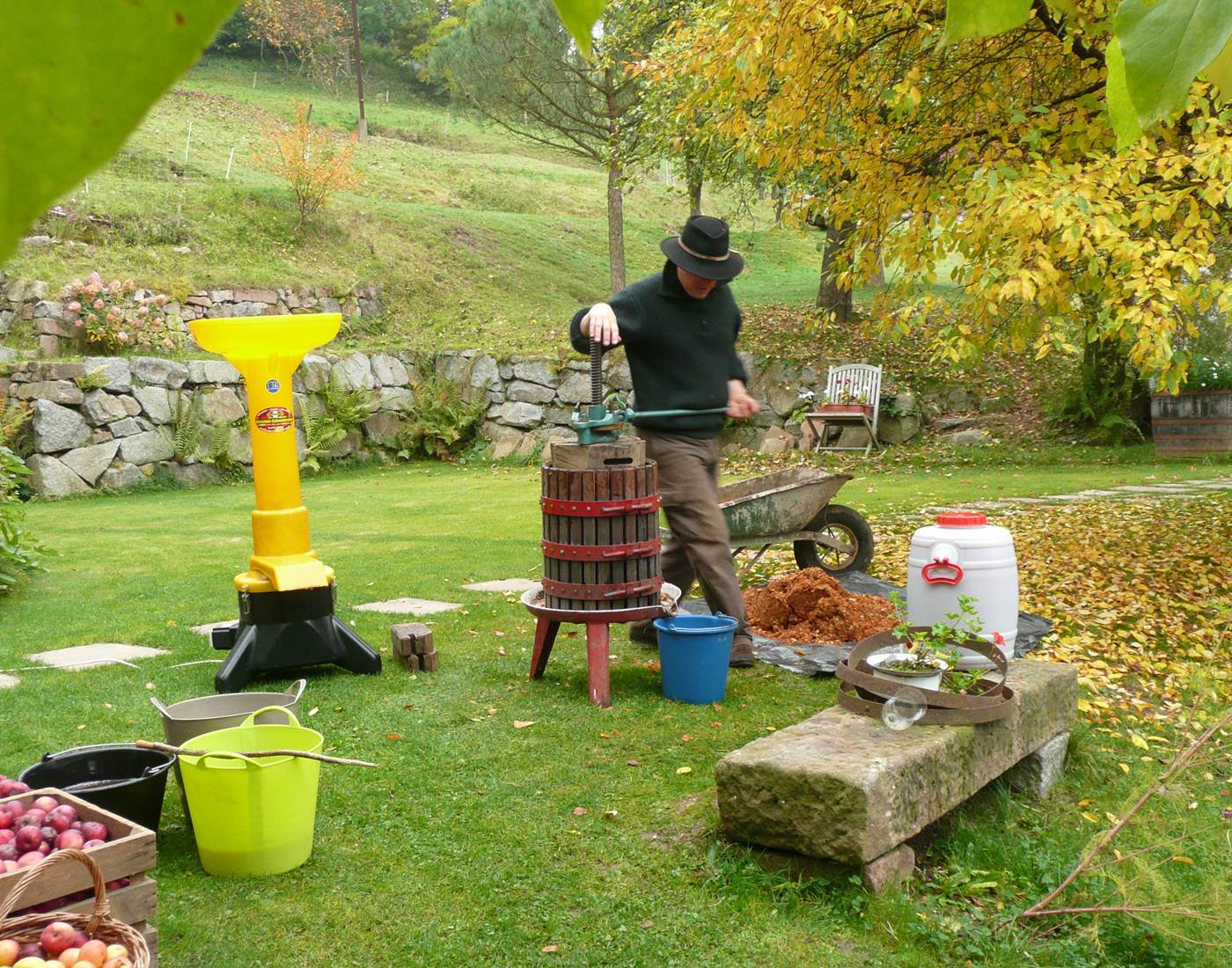 Jus de pomme bio maison