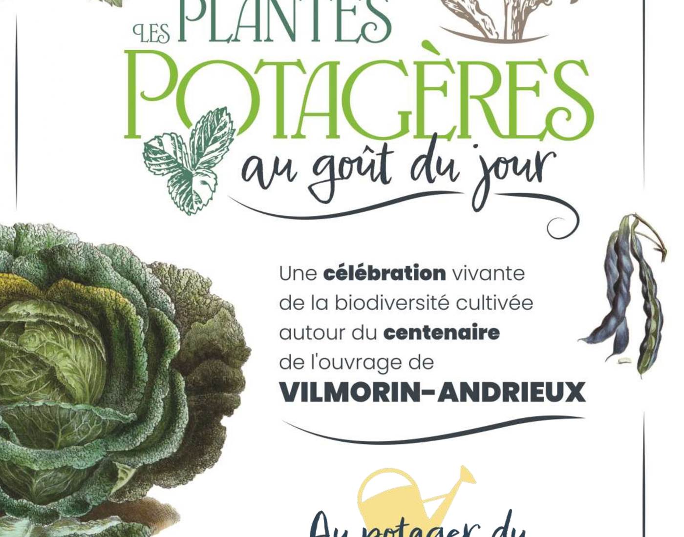 Exposition Les plantes potagères au goût du jour